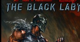 Amid Evil The Black Labyrinth - Video Game