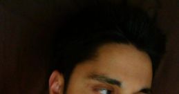 Ray William Johnson (YouTuber)