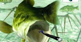 Bass Rush: ECOGEAR PowerWorm Championship バスラッシュ ～ECOGEAR PowerWorm Championship～ - Video Game