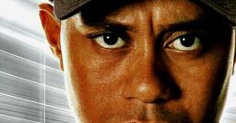 Tiger Woods PGA Tour 2005 - Video Game