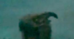 Monsterverse Rodan
