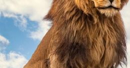 Sher You can play and download these varied that cover a wide range of al genres and styles. From soulful singing to