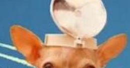 Chemtrail Chihuahua
