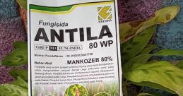 Arttu Antila