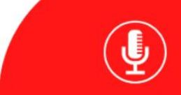 Polish Voice FM LTD (PVFM)