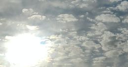 Morning cloud