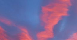Dawn