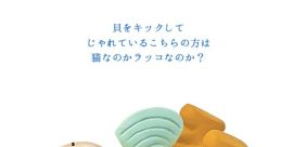 貝貝猫貝貝猫