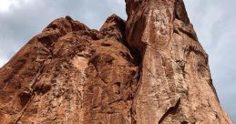 Rock Perkins