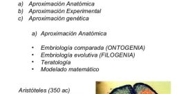Bda1