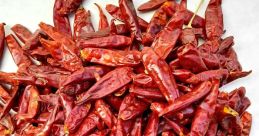 Chilli