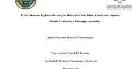 MARIA FERNANDA CAYAMBE MOROCHO