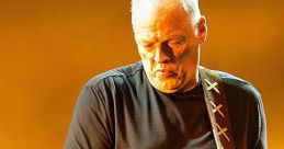 David Gilmour