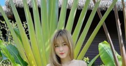 Huế Dang