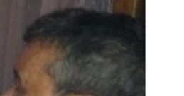 André
