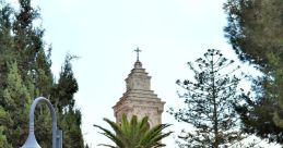 The Mount of Olive Church