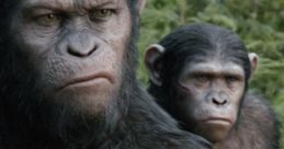 Planet Of The Apes
