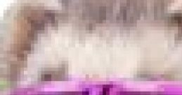 Are Jayem