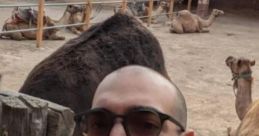 Arif
