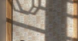 Aly_6ix