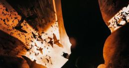 Batman Begins