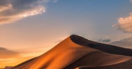 Desert.