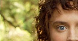 Frodo Baggins