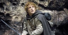 Sam Wise Lord Of The Rings