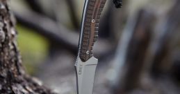 Rshaw2388