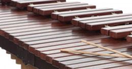 Xylophone And Marimba