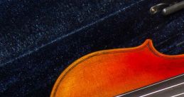 Violin