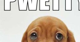 Please!