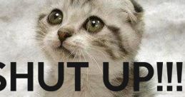 Shut Up!