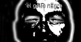 SENOr GatO NegRo