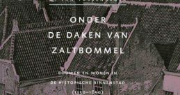 Jason van zaltbommel