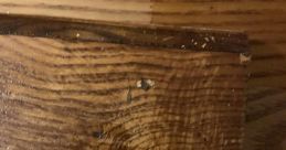 Historic shellac