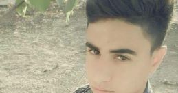 Yotam Ovadia