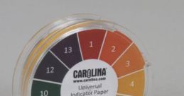 Test - Carolina Type your text and hear it in the voice of Test - Carolina.