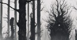 Shadows of the Forest