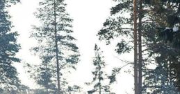Emil Axelsson from Emil Axelsson. # : Pedda Guitars: Pedda, Emil Recorded some time early 2000. Emil Axelsson some time