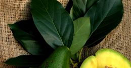 Avocado
