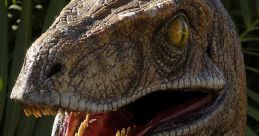Raptor