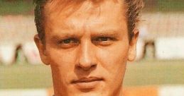 Rstreich87