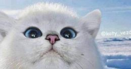 HI IM nEW
