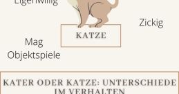 Kater