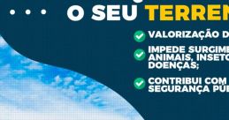 Arevil12