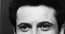 Joe Pesci (Version 2.0)