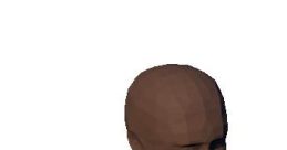 Ani