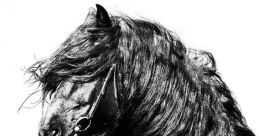 Lorie Thwing