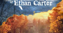 Carter Gaming